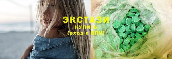 индика Заволжск