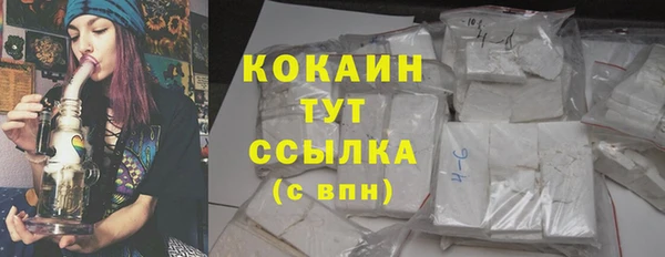 индика Заволжск