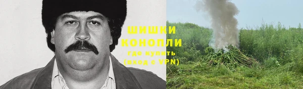 индика Заволжск