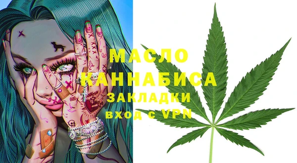 индика Заволжск