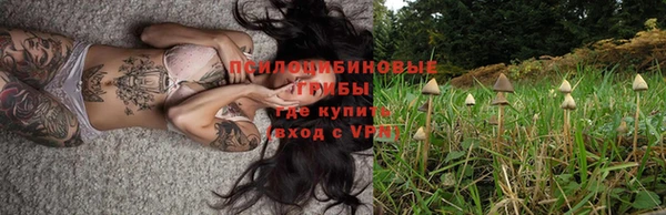 индика Заволжск