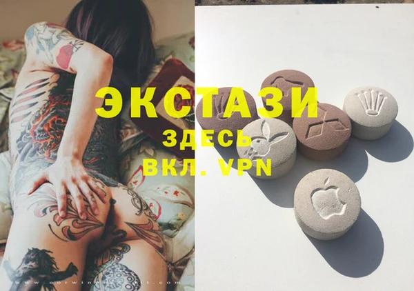 индика Заволжск