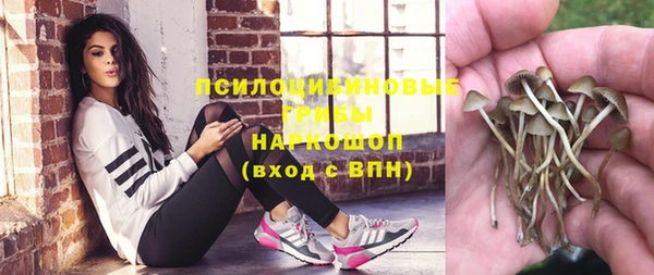 индика Заволжск