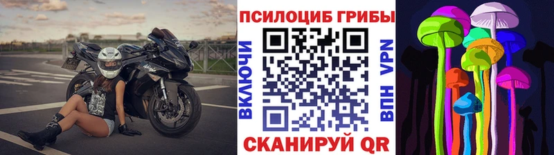 Купить где  Белая Холуница  Галлюциногенные грибы Magic Shrooms 